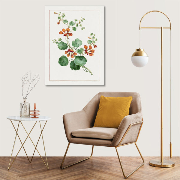 Quadro Stampa su Tela con Telaio in Legno John Edwards - Nasturtium