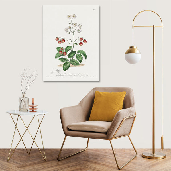 Quadro Stampa su Tela con Telaio in Legno John Edwards - Strawberry with Oval, Spear-Shaped Rough Leaves & an Oval Fruit