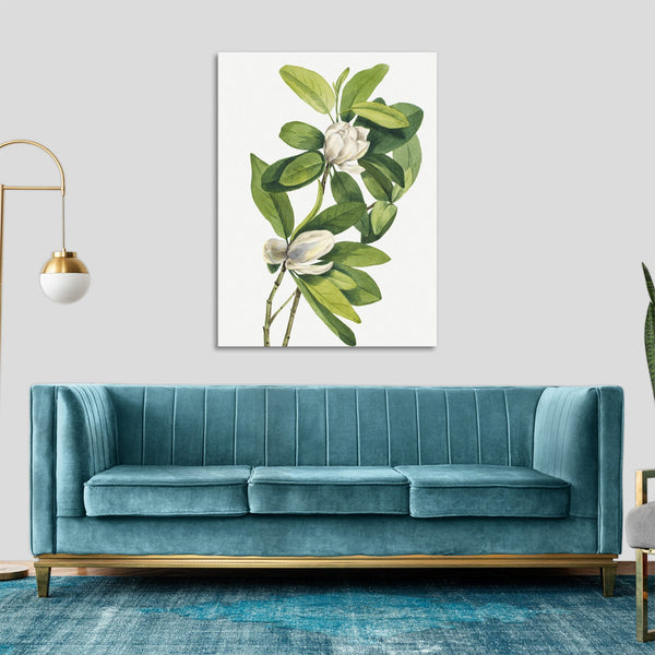 Quadro Stampa su Tela con Telaio in Legno Mary Vaux Walcott - Swamp Magnolia