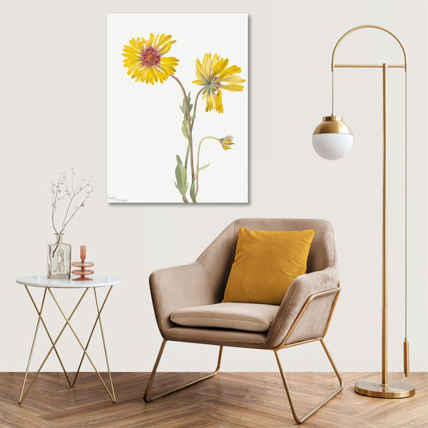 Quadro Stampa su Tela con Telaio in Legno Mary Vaux Walcott - Perennial Gaillardia