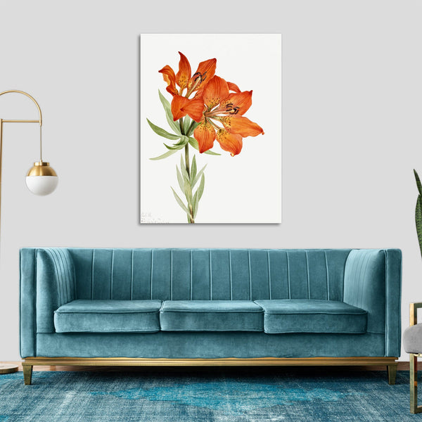 Quadro Stampa su Tela con Telaio in Legno Mary Vaux Walcott - Red Lily