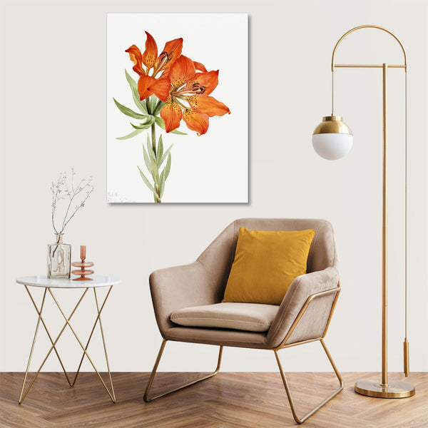 Quadro Stampa su Tela con Telaio in Legno Mary Vaux Walcott - Red Lily