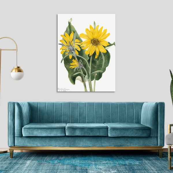 Quadro Stampa su Tela con Telaio in Legno Mary Vaux Walcott - Balsamroot