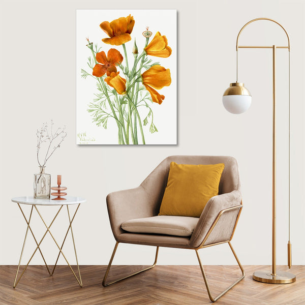 Quadro Stampa su Tela con Telaio in Legno Mary Vaux Walcott - California Poppy