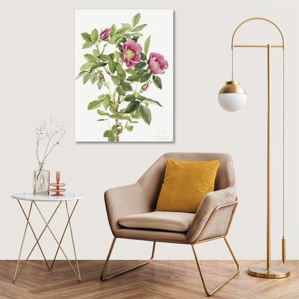 Quadro Stampa su Tela con Telaio in Legno Mary Vaux Walcott - Bourgeau Rose