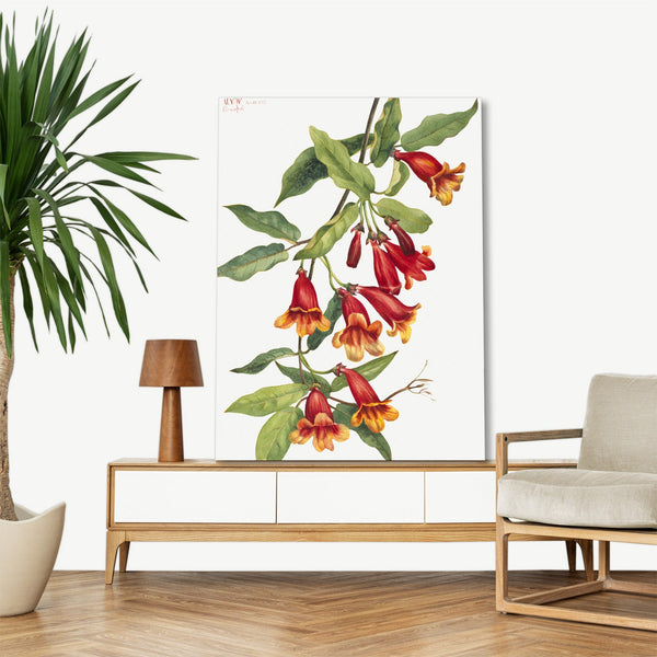 Quadro Stampa su Tela con Telaio in Legno Mary Vaux Walcott - Crossvine