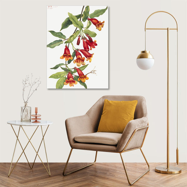 Quadro Stampa su Tela con Telaio in Legno Mary Vaux Walcott - Crossvine