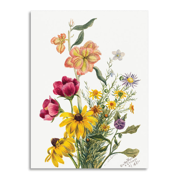 Quadro Stampa su Tela con Telaio in Legno Mary Vaux Walcott - Group of Flowers