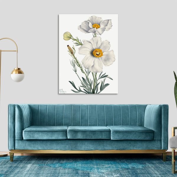 Quadro Stampa su Tela con Telaio in Legno Mary Vaux Walcott - Matilija Poppy