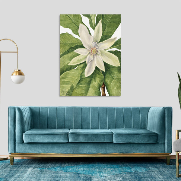 Quadro Stampa su Tela con Telaio in Legno Mary Vaux Walcott - Umbrella Tree