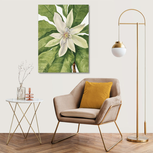 Quadro Stampa su Tela con Telaio in Legno Mary Vaux Walcott - Umbrella Tree