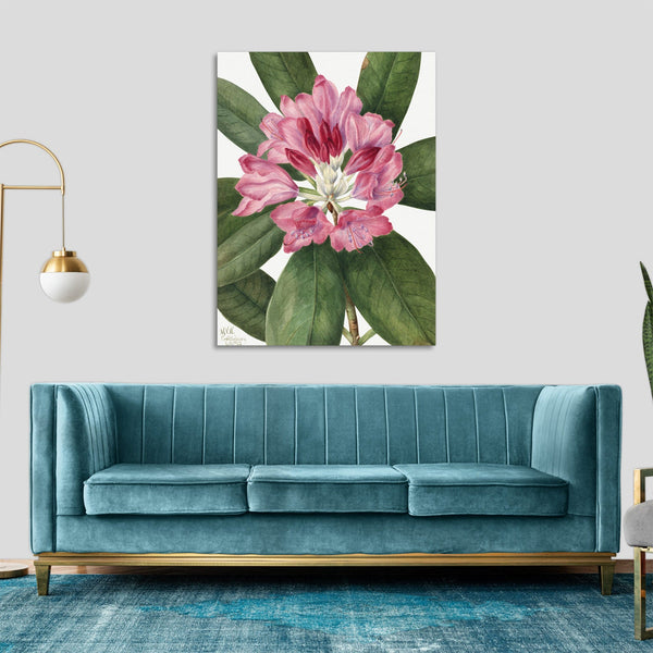 Quadro Stampa su Tela con Telaio in Legno Mary Vaux Walcott - Mountain Rose Bay