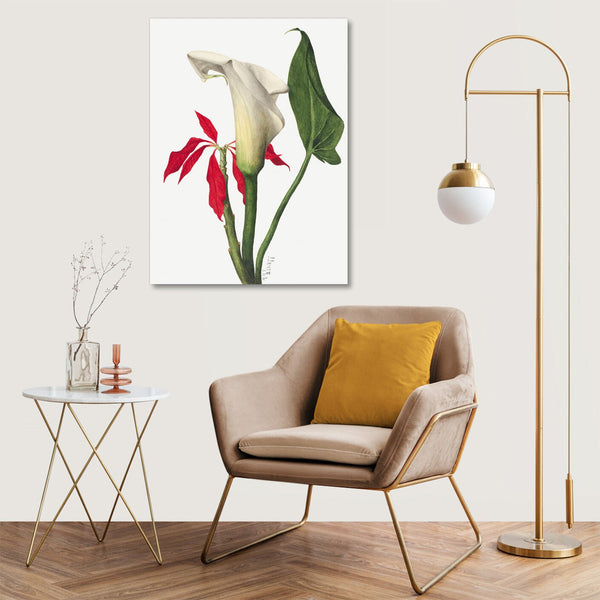 Quadro Stampa su Tela con Telaio in Legno Mary Vaux Walcott - Calla Lily
