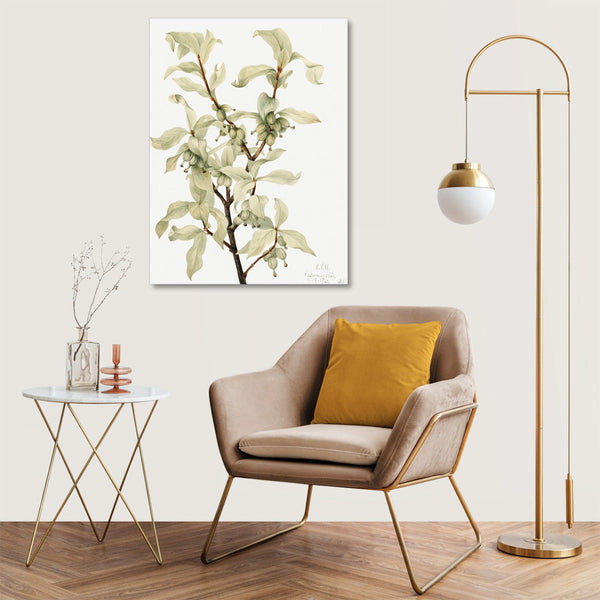 Quadro Stampa su Tela con Telaio in Legno Mary Vaux Walcott - Calla Lily