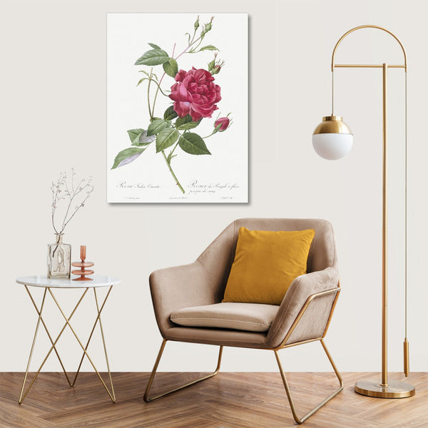 Quadro Stampa su Tela con Telaio in Legno Pierre-Joseph Redouté - Blood-Red Bengal Rose