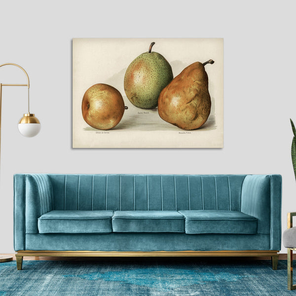 Quadro Stampa su Tela con Telaio in Legno John Wright - Pears