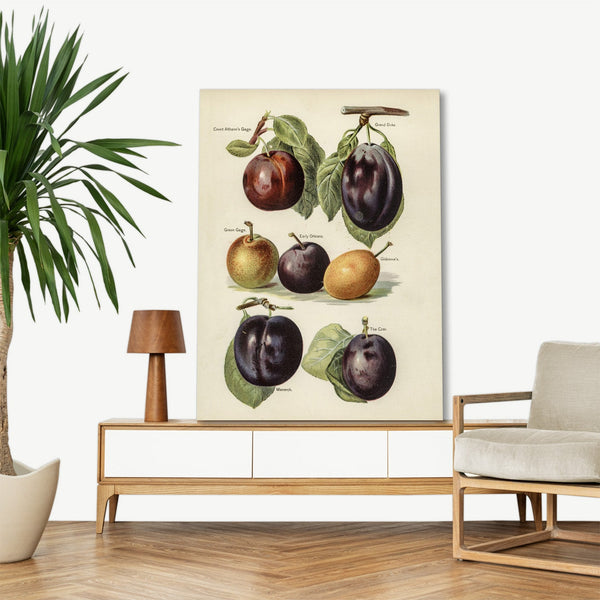 Quadro Stampa su Tela con Telaio in Legno John Wright - Grower’s