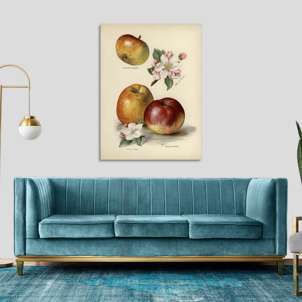 Quadro Stampa su Tela con Telaio in Legno John Wright - The fruit grower’s guide