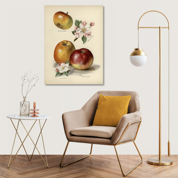 Quadro Stampa su Tela con Telaio in Legno John Wright - The fruit grower’s guide