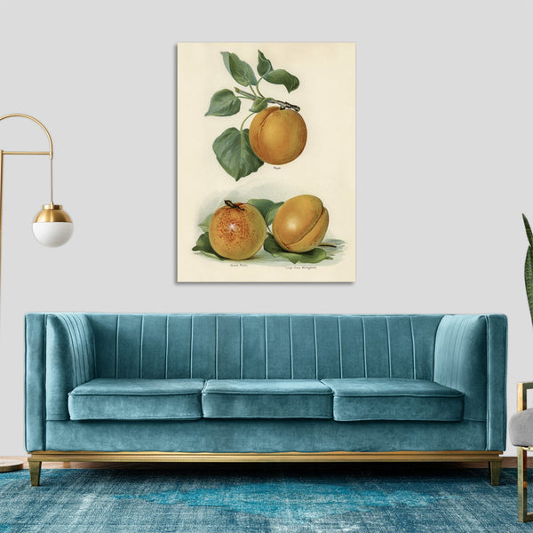 Quadro Stampa su Tela con Telaio in Legno John Wright - Apricot