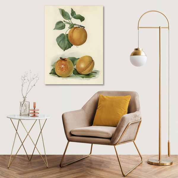 Quadro Stampa su Tela con Telaio in Legno John Wright - Apricot