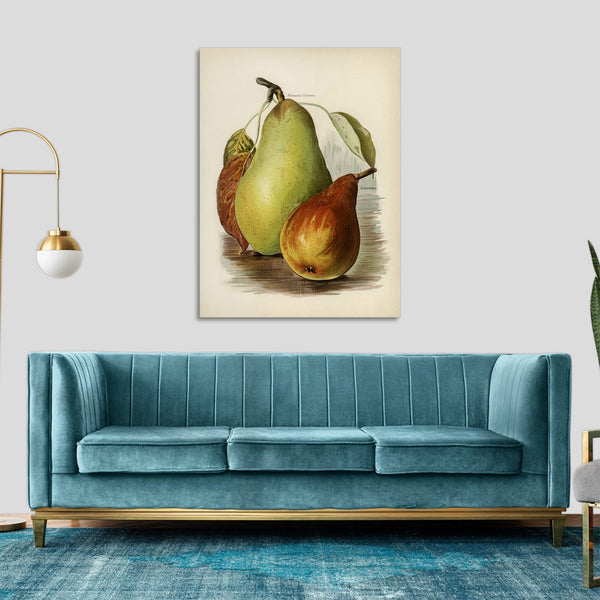 Quadro Stampa su Tela con Telaio in Legno John Wright - Pear