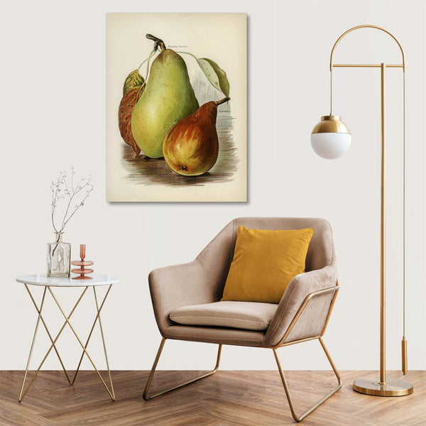 Quadro Stampa su Tela con Telaio in Legno John Wright - Pear
