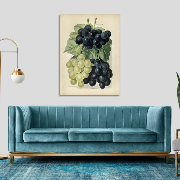 Quadro Stampa su Tela con Telaio in Legno John Wright - Grape