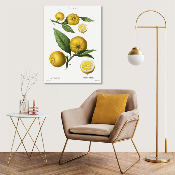 Quadro Stampa su Tela con Telaio in Legno Pierre-Joseph Redouté - Clusters of citrus