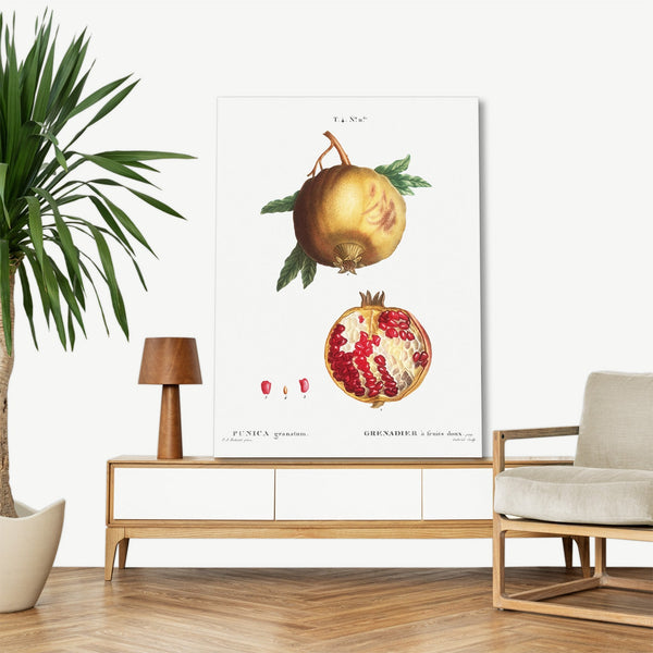 Quadro Stampa su Tela con Telaio in Legno Pierre-Joseph Redouté - Pomegranate