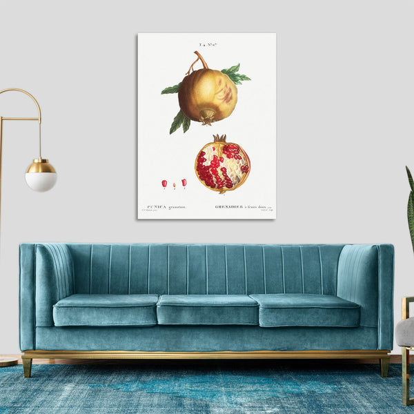 Quadro Stampa su Tela con Telaio in Legno Pierre-Joseph Redouté - Pomegranate