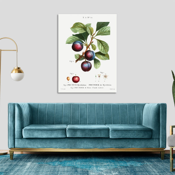 Quadro Stampa su Tela con Telaio in Legno Bitter orange plum