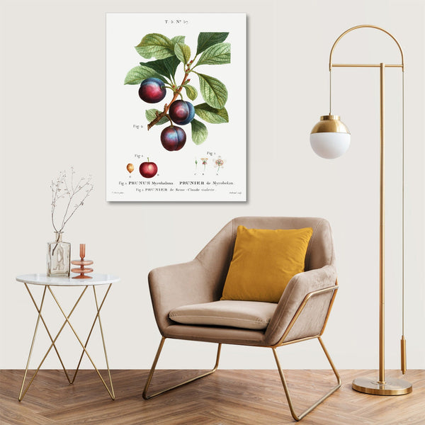 Quadro Stampa su Tela con Telaio in Legno Bitter orange plum