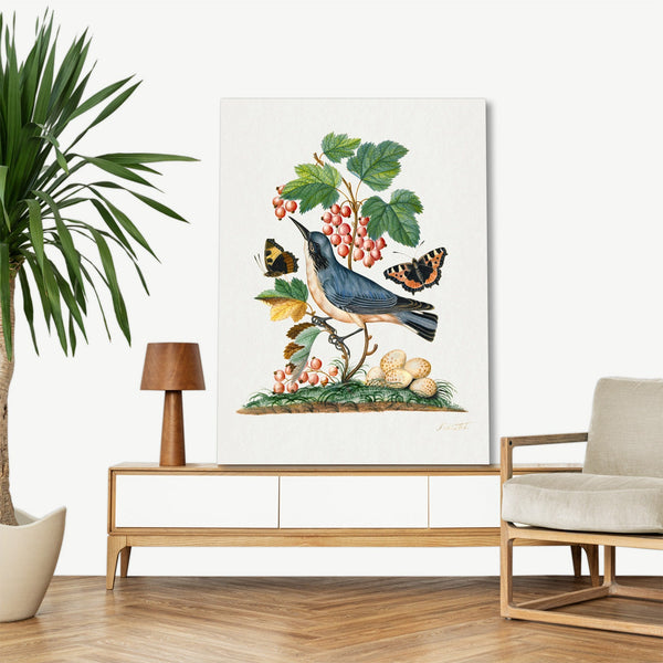 Quadro Stampa su Tela con Telaio in Legno James Bolton - Subalpine warbler and eggs