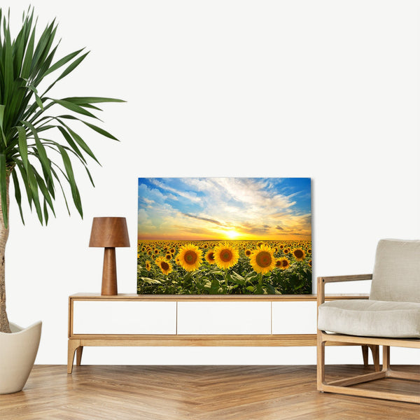 Quadro Stampa su Tela con Telaio in legno panorama campo di girasoli tramonto