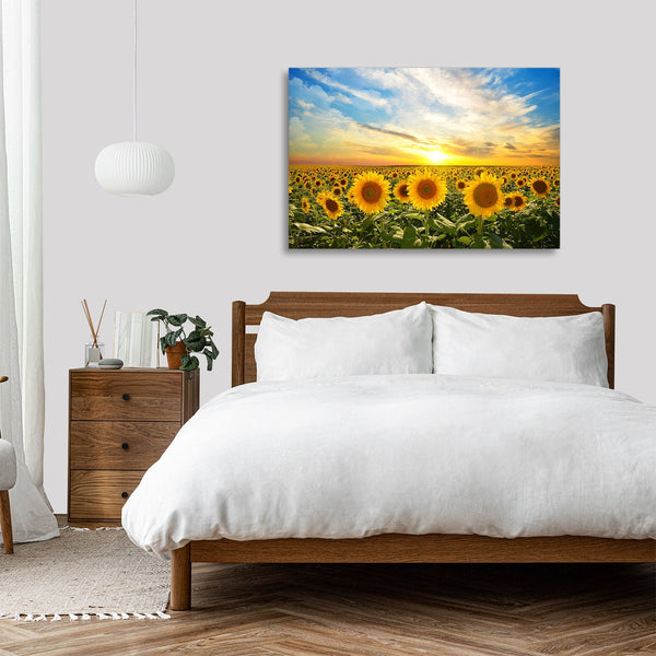 Quadro Stampa su Tela con Telaio in legno panorama campo di girasoli tramonto