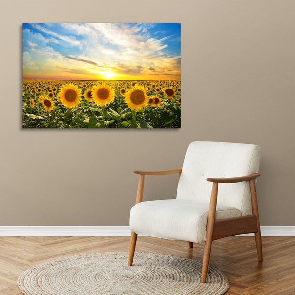 Quadro Stampa su Tela con Telaio in legno panorama campo di girasoli tramonto