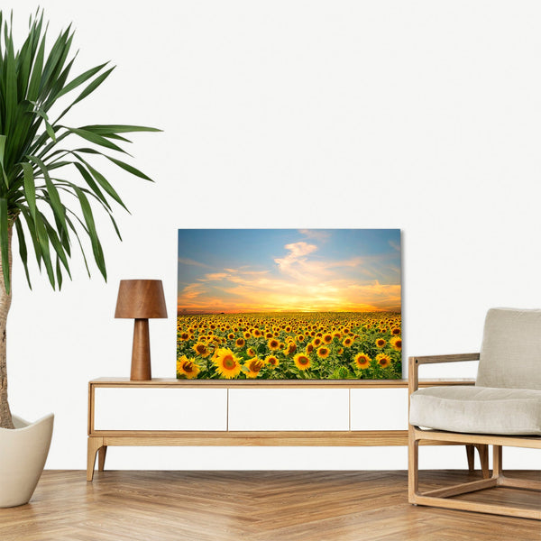 Quadro Stampa su Tela con Telaio in legno panorama campo di girasoli tramonto