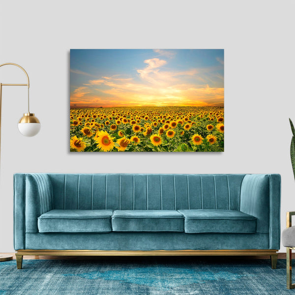 Quadro Stampa su Tela con Telaio in legno panorama campo di girasoli tramonto