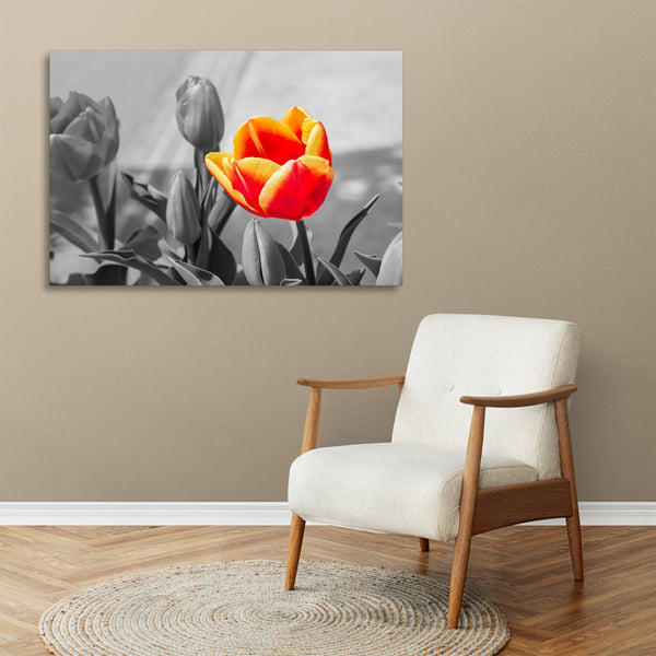 Quadro Stampa su Tela con Telaio in legno panorama fiori