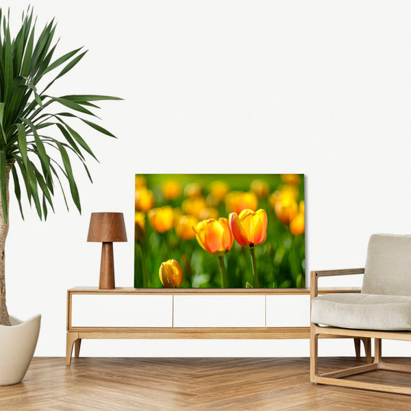 Quadro Stampa su Tela con Telaio in legno panorama fiori
