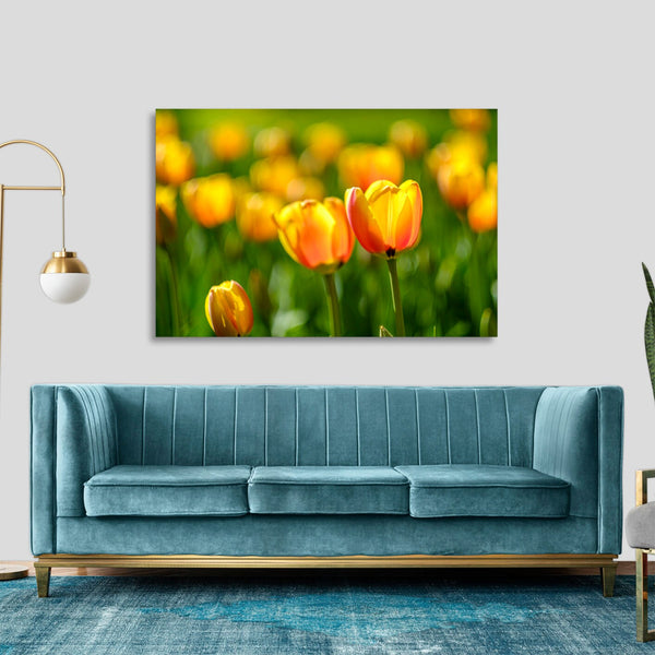 Quadro Stampa su Tela con Telaio in legno panorama fiori
