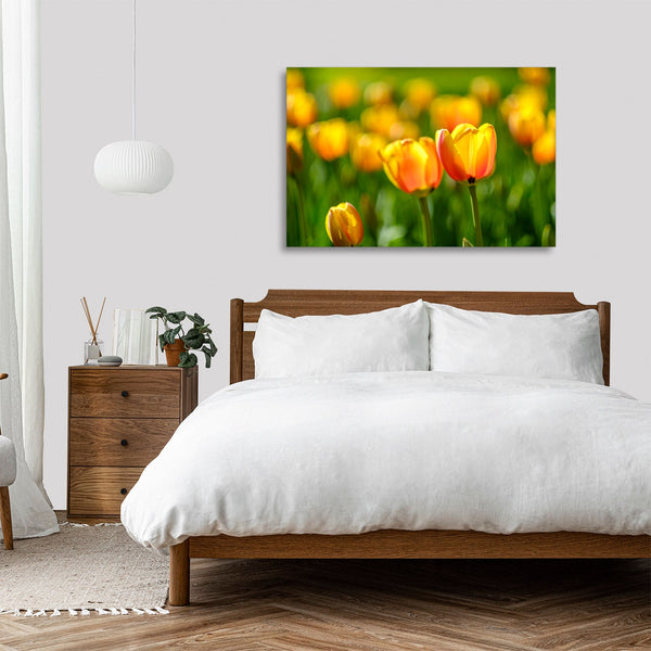 Quadro Stampa su Tela con Telaio in legno panorama fiori