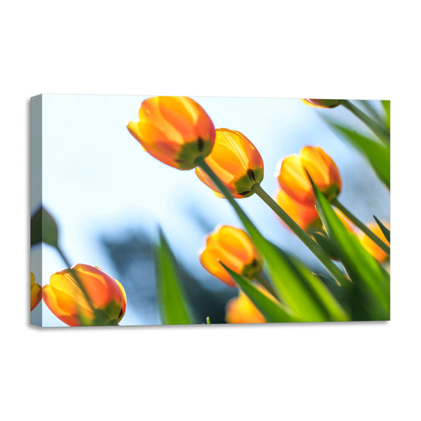 Quadro Stampa su Tela con Telaio in legno panorama fiori