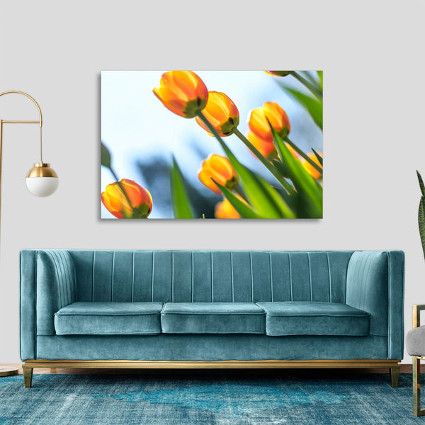 Quadro Stampa su Tela con Telaio in legno panorama fiori