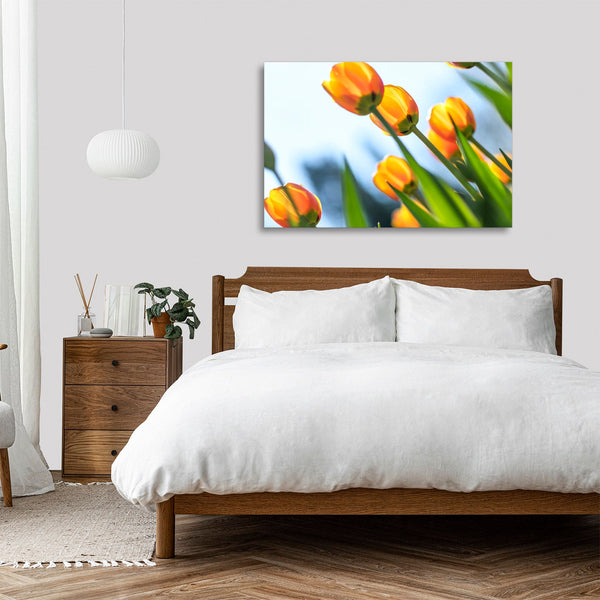Quadro Stampa su Tela con Telaio in legno panorama fiori