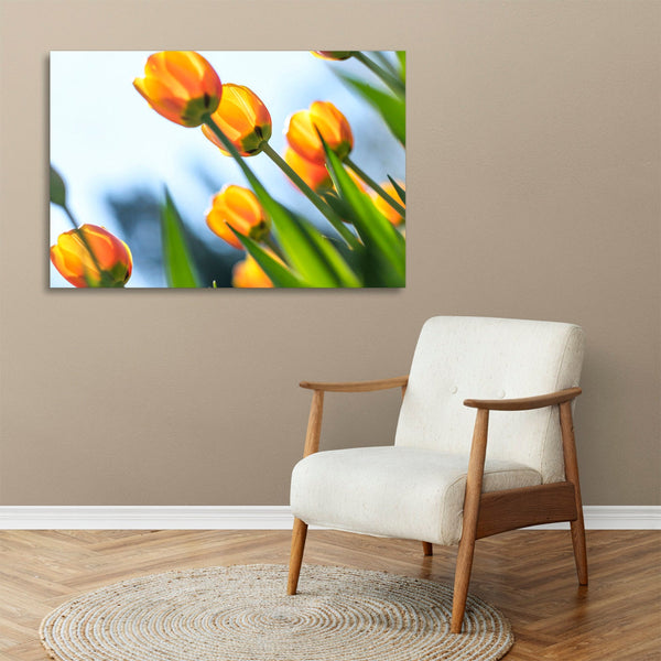 Quadro Stampa su Tela con Telaio in legno panorama fiori