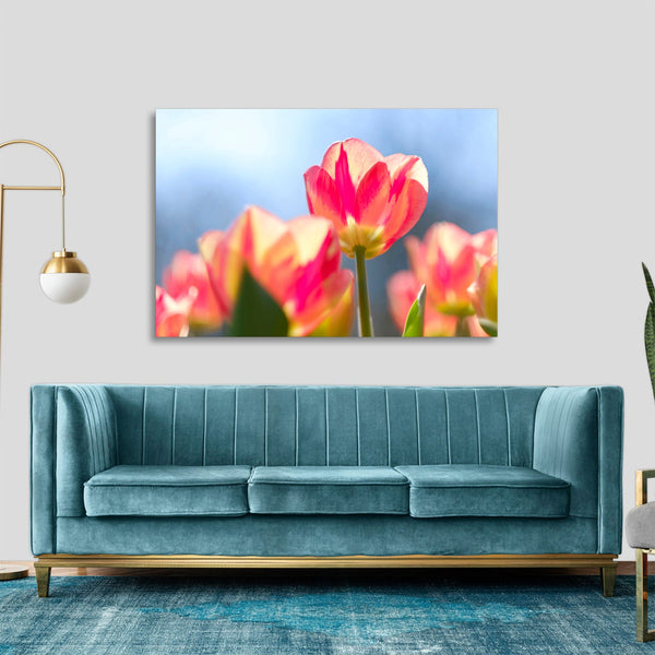 Quadro Stampa su Tela con Telaio in legno panorama fiori