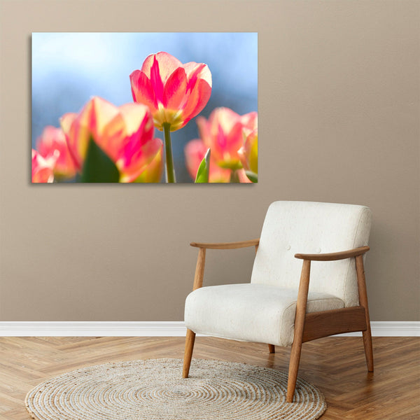 Quadro Stampa su Tela con Telaio in legno panorama fiori