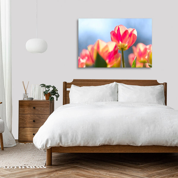 Quadro Stampa su Tela con Telaio in legno panorama fiori